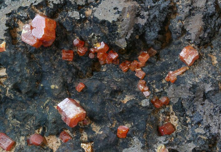 Red Vanadinite Crystals on Manganese Oxide - Morocco #38514